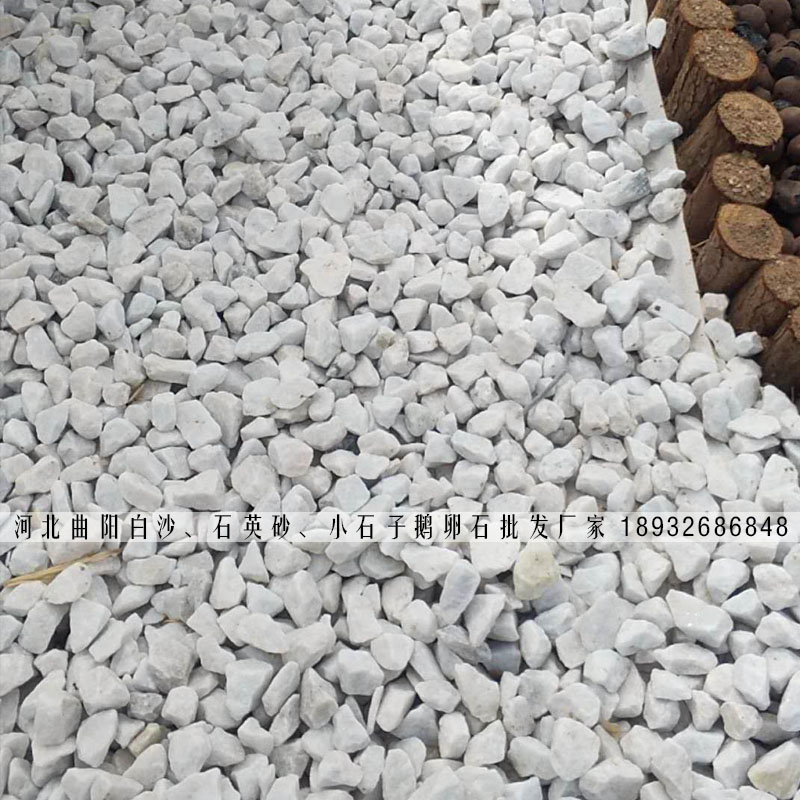 庭院白色硕石造景石子大量批发现货供应价格白石子厂家直销